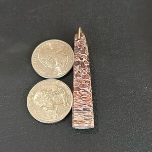 🤯Dinosaur 🦕 🦴 BONE!pendant necklace earring!🆕RARE&UNIQUE 💎 GEMS STONES CRYSTALS